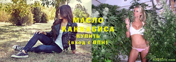 гашик Няндома