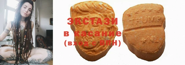 гашик Няндома