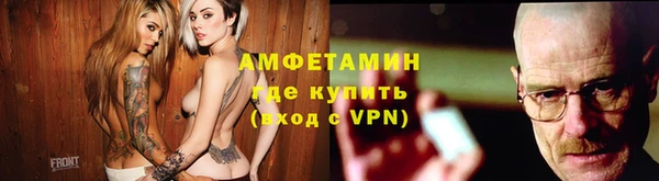 гашик Няндома