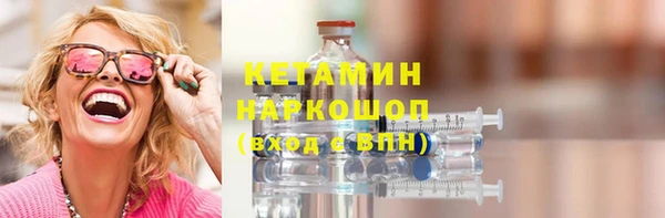 гашик Няндома
