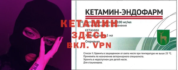 гашик Няндома