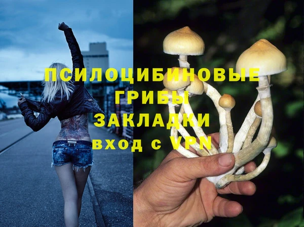 PSILOCYBIN Нягань