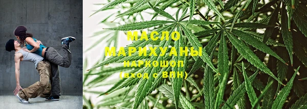 гашик Няндома