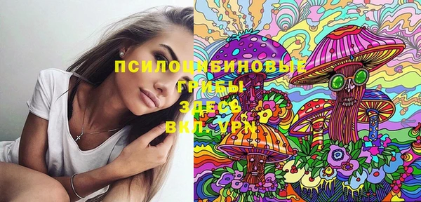 PSILOCYBIN Нягань