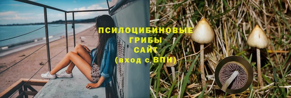 PSILOCYBIN Нягань