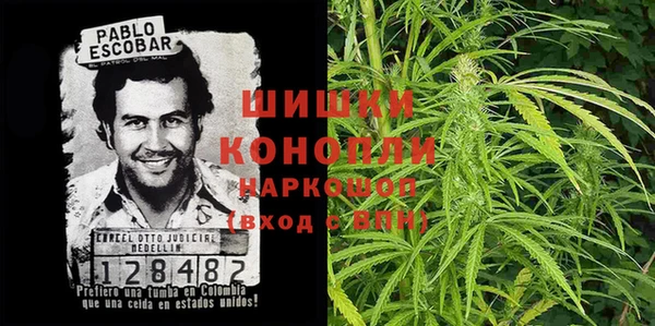 гашик Няндома