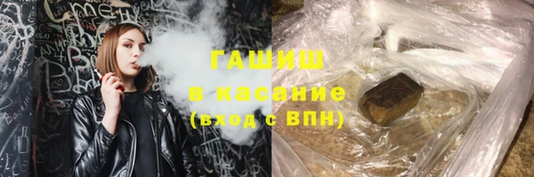 гашик Няндома