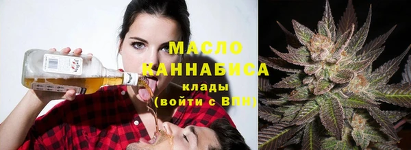 гашик Няндома