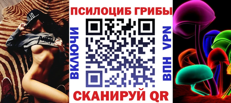 KRAKEN онион  Усолье  Галлюциногенные грибы Psilocybine cubensis 